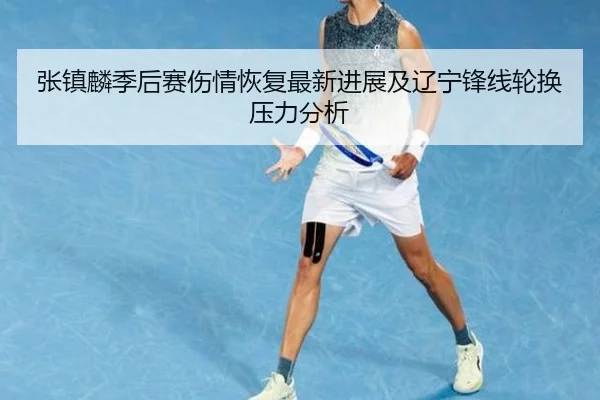 张镇麟季后赛伤情恢复最新进展及辽宁锋线轮换压力分析